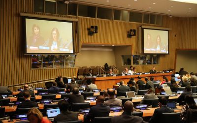 First Committee Meeting Underway in New York