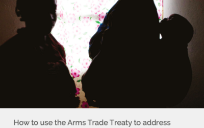 How to use the Arms Trade Treaty to address Gender-Based Violence: A Practical Guide for Risk Assessment